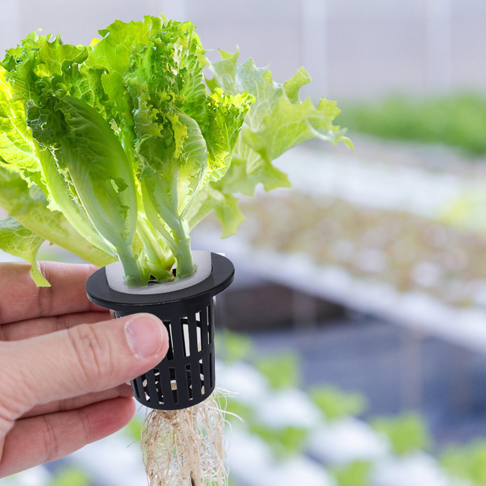 Net Pots For Hydroponics Hydro - Urban Farming Indoor review and price