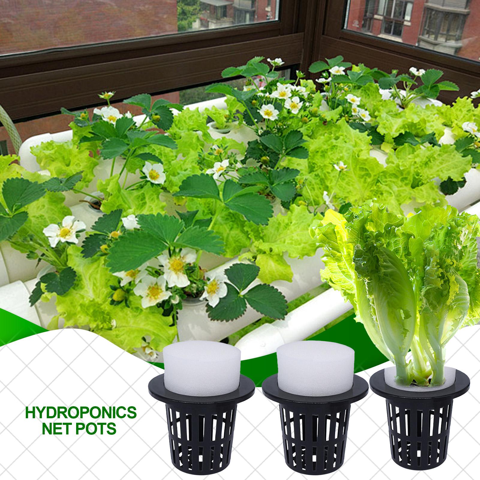 Net Pots For Hydroponics Hydro - Urban Farming Indoor review and price